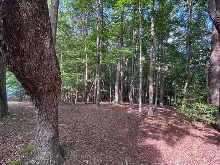 Blairsville, GA 30512 Union County