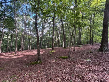 Blairsville, GA 30512 Union County
