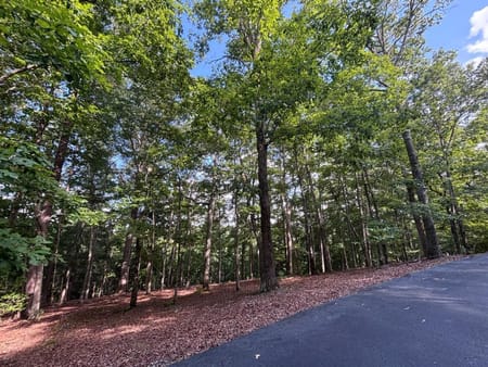 Blairsville, GA 30512 Union County