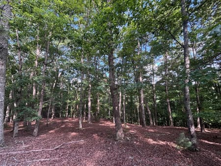 Blairsville, GA 30512 Union County