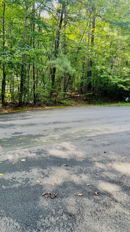 Villa Rica, GA 30180 Carroll County