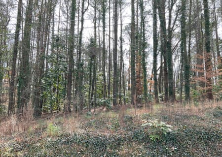 Tallapoosa, GA 30176 Haralson County