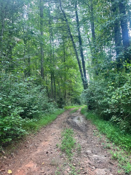 Clarkesville, GA 30523 Habersham County