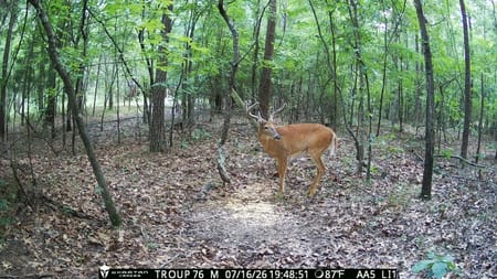 Lagrange, GA 30241 Troup County