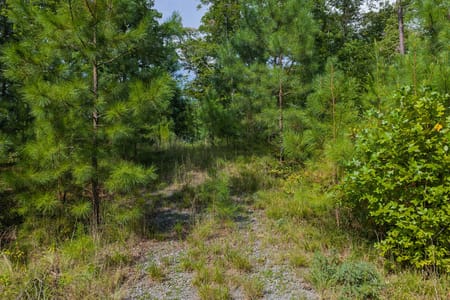 Ellijay, GA 30540 Gilmer County