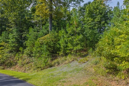 Ellijay, GA 30540 Gilmer County