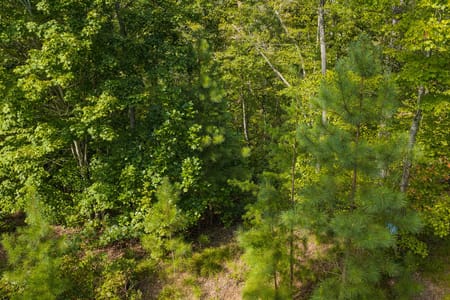 Ellijay, GA 30540 Gilmer County