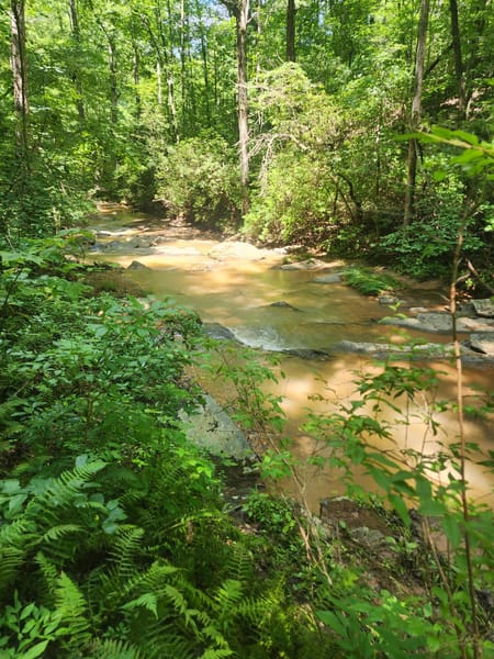 Ellijay, GA 30540 Gilmer County