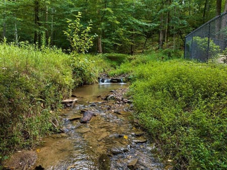 Ellijay, GA 30540 Gilmer County