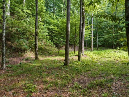 Ellijay, GA 30540 Gilmer County