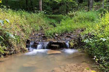 Ellijay, GA 30540 Gilmer County