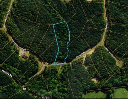 Ellijay, GA 30536 Gilmer County