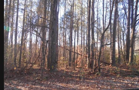 Bowdon, GA 30108 Carroll County