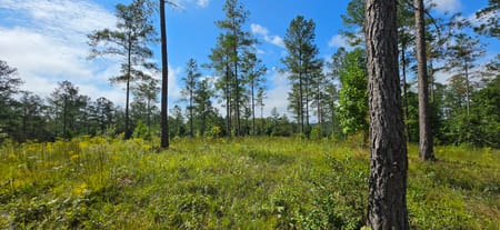 Ellijay, GA 30540 Gilmer County