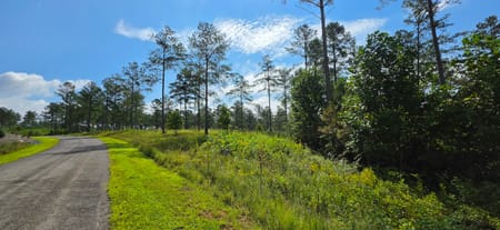 Ellijay, GA 30540 Gilmer County