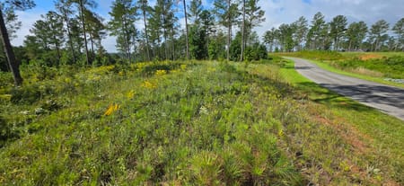 Ellijay, GA 30540 Gilmer County