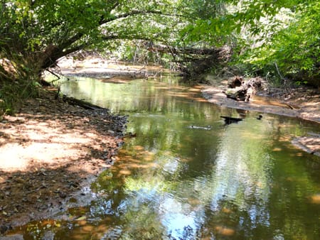 Athens, GA 30601 Clarke County