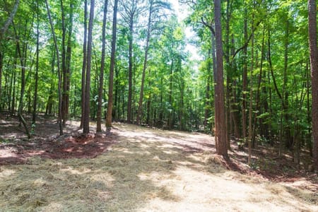 Warm Springs, GA 31830 Meriwether County