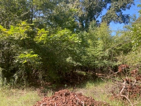 Milledgeville, GA 31061 Baldwin County