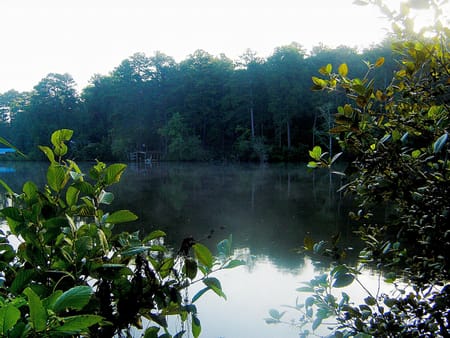 West Point, GA 31833 Harris County