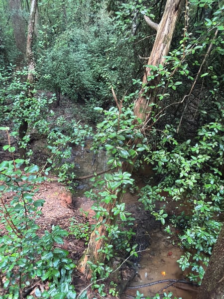 Jackson, GA 30233 Butts County