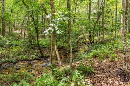Blairsville, GA 30512 Union County