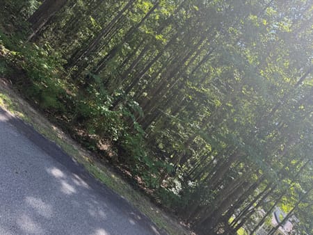 Luthersville, GA 30251 Meriwether County