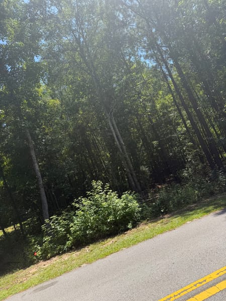 Luthersville, GA 30251 Meriwether County
