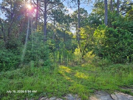 Warner Robins, GA 31093 Houston County