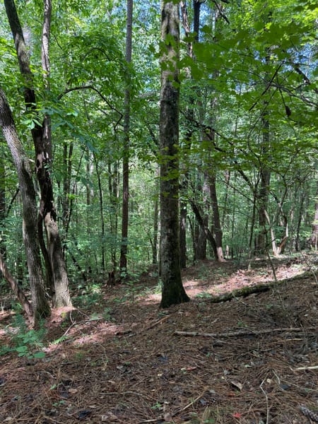 Talking rock, GA 30175 Gilmer County