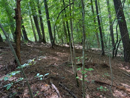 Talking rock, GA 30175 Gilmer County