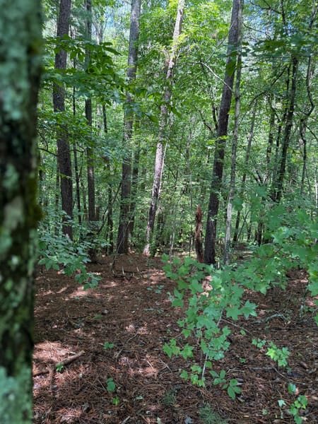Talking rock, GA 30175 Gilmer County