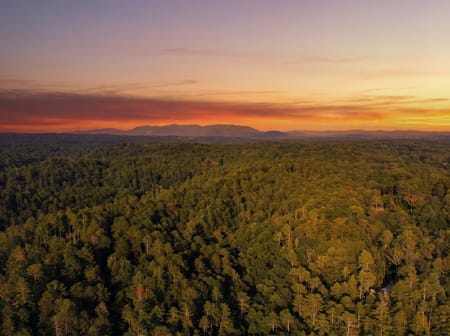 Ellijay, GA 30540 Gilmer County