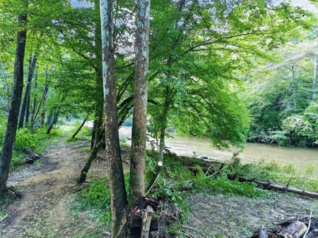 Ellijay, GA 30540 Gilmer County