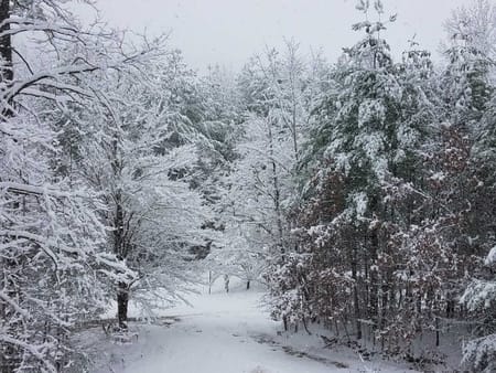 Blairsville, GA 30512 Union County