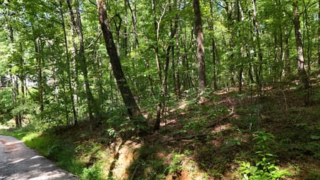 Clarkesville, GA 30523 Habersham County