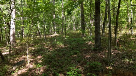 Clarkesville, GA 30523 Habersham County