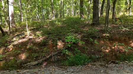 Clarkesville, GA 30523 Habersham County