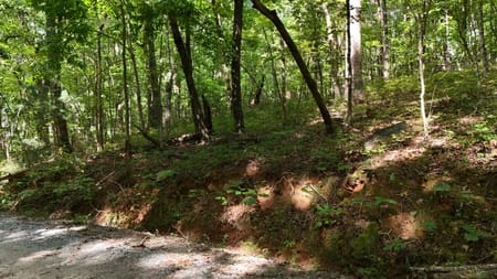 Clarkesville, GA 30523 Habersham County