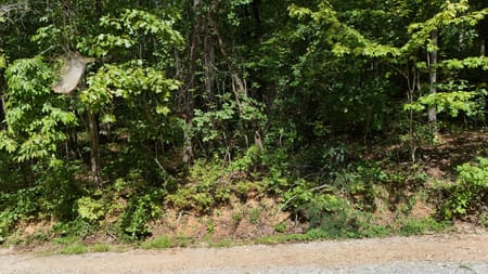 Clarkesville, GA 30523 Habersham County