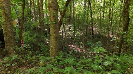 Clarkesville, GA 30523 Habersham County