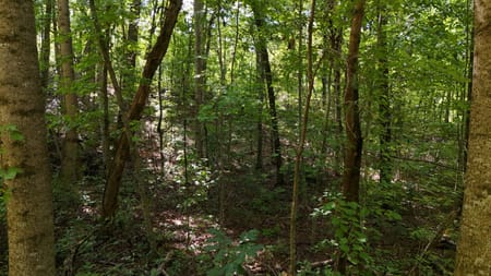 Clarkesville, GA 30523 Habersham County