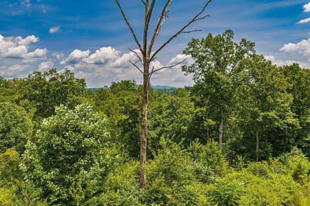 Ellijay, GA 30540 Gilmer County