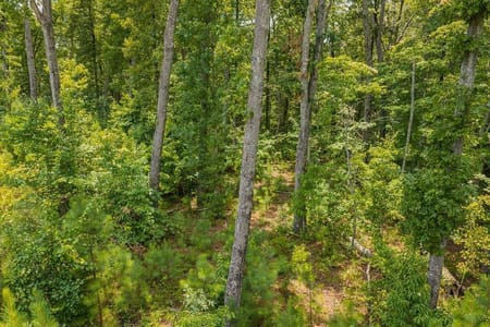 Ellijay, GA 30540 Gilmer County