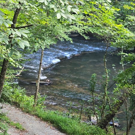 Ellijay, GA 30536 Gilmer County