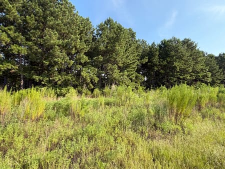 Stapleton, GA 30823 Jefferson County