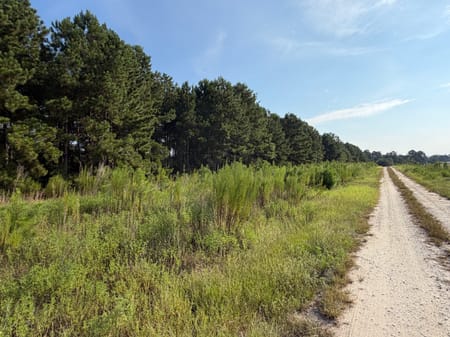 Stapleton, GA 30823 Jefferson County