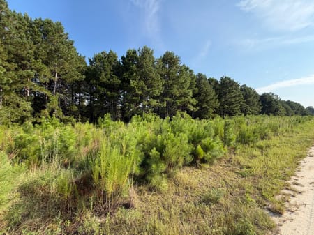 Stapleton, GA 30823 Jefferson County