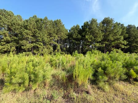 Stapleton, GA 30823 Jefferson County