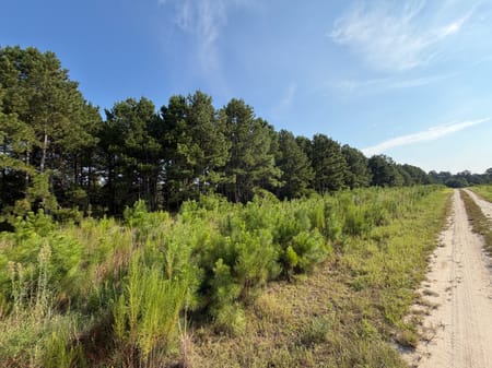 Stapleton, GA 30823 Jefferson County
